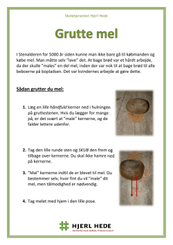 Grutte mel - Hjerl Hede