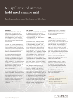 Case: Organisationsanalyse, Handicapcenter København