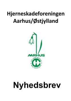 Hjerneskadeforeningen Aarhus/Østjylland