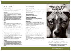 vidste du det? om hunde - Dansk Terrier Klubs Bull Image Gruppe