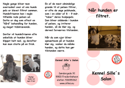 Når hunden er filtret - Kennel Sille´s Salon