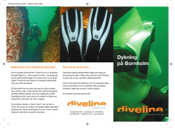 Diveline Brochure - Diveline Bornholm