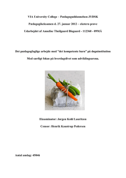 Paed_opgave_Annelise Bisgaard_feb2012.pdf