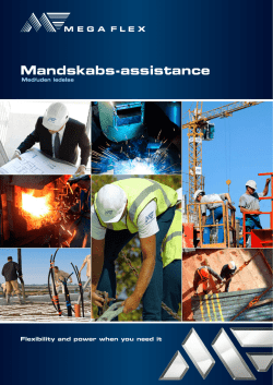 Mandskabs-assistance