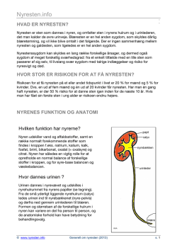 Generelt om nyresten (anatomi, symptomer og undersøgelser)