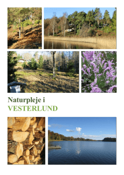 Naturpleje i VESTERLUND - vesterlundgrundejerforening.dk