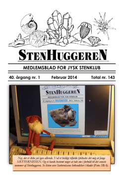 pdf-filer/2014 Stenhuggeren februar.pdf