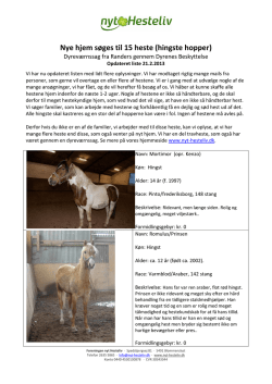 Opfølgning og status på dyreværnsag fra Randers