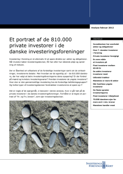 Et portræt af de 810.000 private investorer i de danske