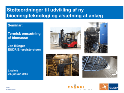 Jan Bünger, Energistyrelsen - Dansk Testcenter for Bioenergi