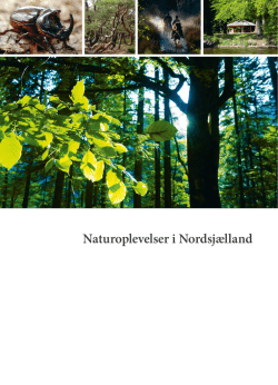 Naturoplevelser i Nordsjælland