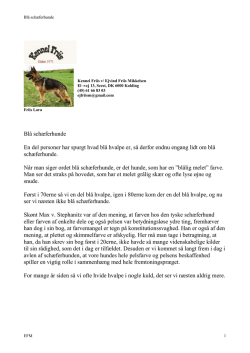 Blå Schæferhunde - Schæferhunden.dk