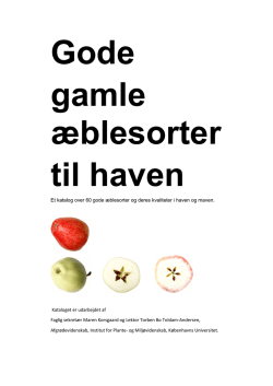 Æblekatalog, skrevet af Maren Korsgaard