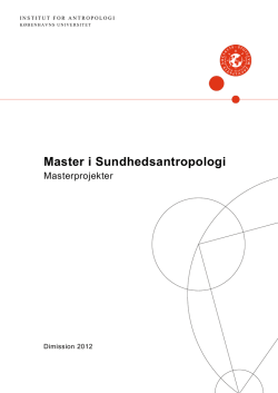 Masterprojekter 2012 - København
