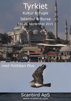 Istanbul & Bursa