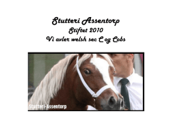 Stutteri Assentorp.pdf - Welsh Pony & Cob Avlen i Danmark