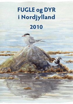 FUGLE og DYR i Nordjylland 2010
