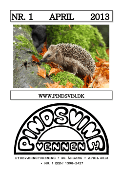 Pindsvinevennen-2013-april - Pindsvinevennerne i Danmark