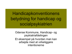 Handicapkonventionens betydning (Puk-Maria Holmgaard)