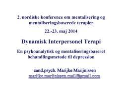 Marijke Marijnissen DIT præsentation Nordisk konference for