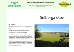 Solberga skov