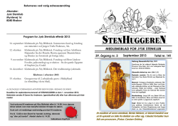 pdf-filer/2013 Stenhuggeren september.pdf
