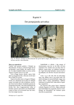 Kapitel 4 Det pompejanske privathus