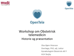 Workshop om Obstetrisk telemedicin - 4S