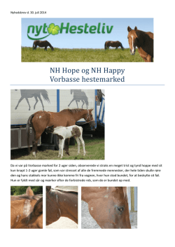 NH Hope og NH Happy Vorbasse hestemarked