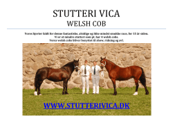 STUTTERI VICA.pdf - Welsh Pony & Cob Avlen i Danmark