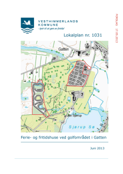 Lokalplan 1031 - Grundejerforeningen Hole in One