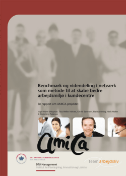 AMICA-rapport - TeamArbejdsliv