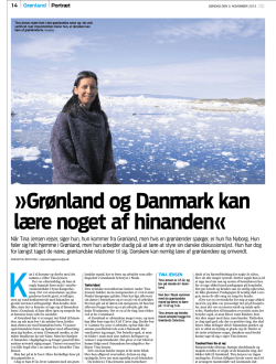 Grønland og Danmark kan lære noget af hinanden«
