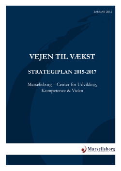 vejen til vækst strategiplan 2015-2017