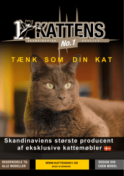 Katalog - Kattens No. 1