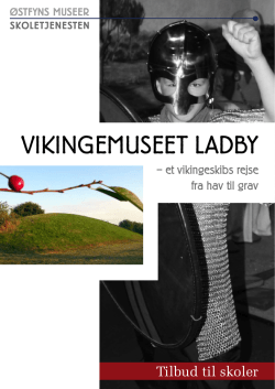 Vikingemuseet ladby