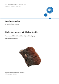 Skaktfragmenter & Makrofossiler