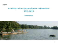 Bilag 3: Udkast til Københavns Kommunes vandhandleplan, del 1