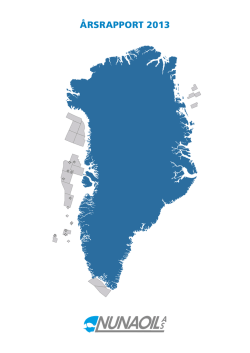 ÅRSRAPPORT 2013