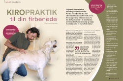 Kiropraktik til hunde