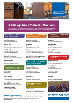 Teams og kompetencer juli 2012.indd