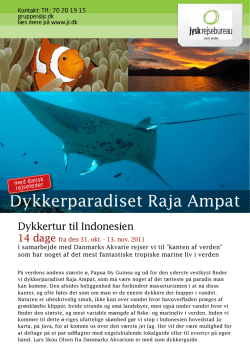 Dykkerparadiset Raja Ampat