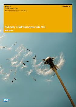Nyheder i SAP Business One 9.0