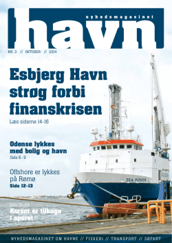 Esbjerg Havn strøg forbi finanskrisen