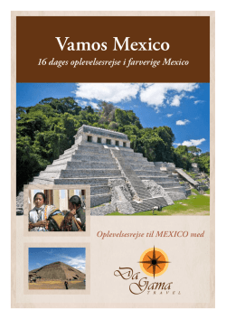 Vamos Mexico - DaGama Travel