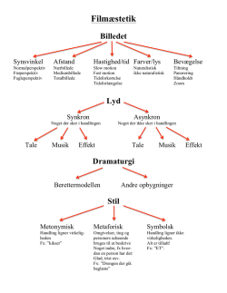 Filmæstetik - Om 2sprogsit.dk