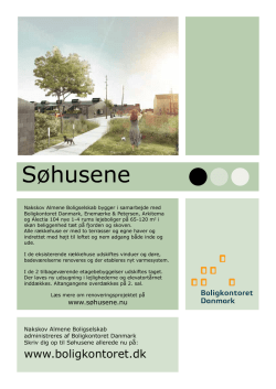 Forundersøgelse Roskilde 2.pdf