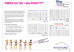 RAPPENS FORM RAPPENS INDHOLD RAPPENS LYRISKE JEG