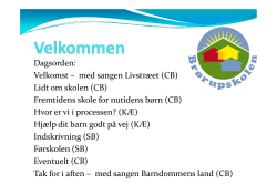 Manual til CD-ORD - Roskilde Gymnasium