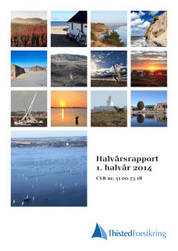 Delårsrapport 1. halvår 2014/15